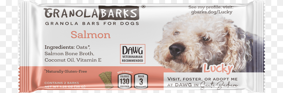 Salmon Bar Granola, Animal, Canine, Dog, Mammal Free Png