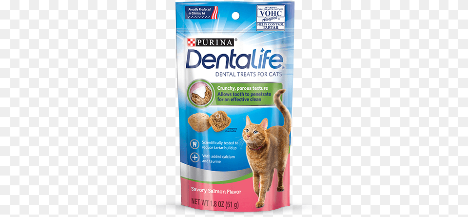 Salmon Cat Dental Treats Dentalife Cat, Animal, Mammal, Pet Png