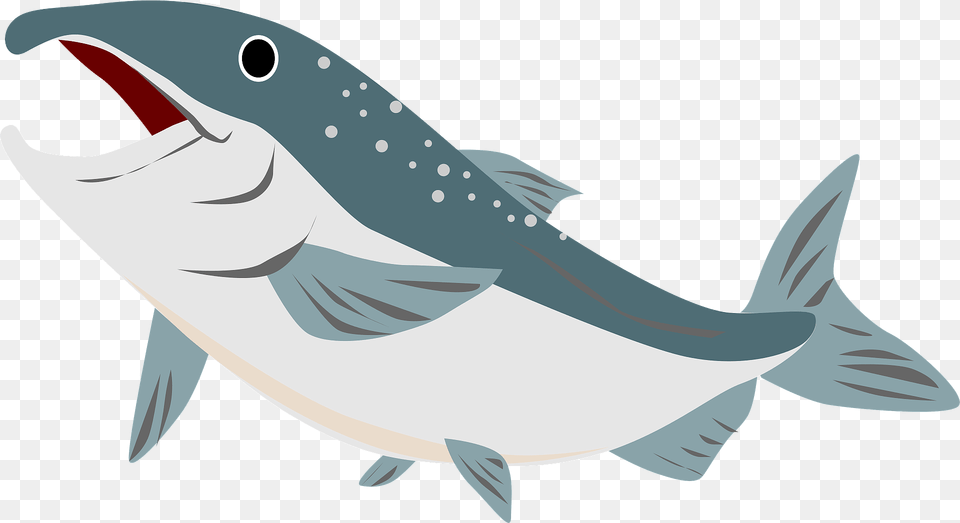Salmon Clipart, Animal, Fish, Sea Life, Tuna Free Transparent Png