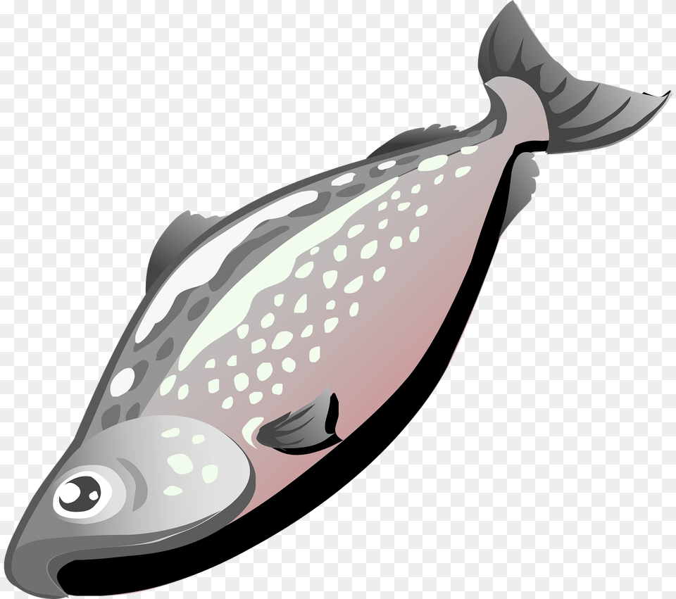 Salmon Clipart, Animal, Sea Life, Mammal, Whale Png Image