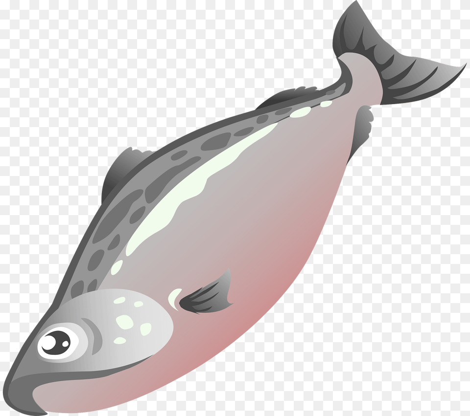 Salmon Clipart, Animal, Sea Life, Fish, Shark Free Png Download