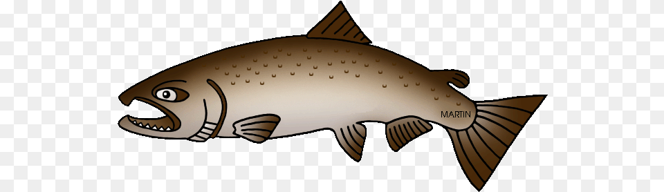 Salmon Clipart Animated State Fish Of Alaska, Animal, Sea Life, Trout, Shark Png