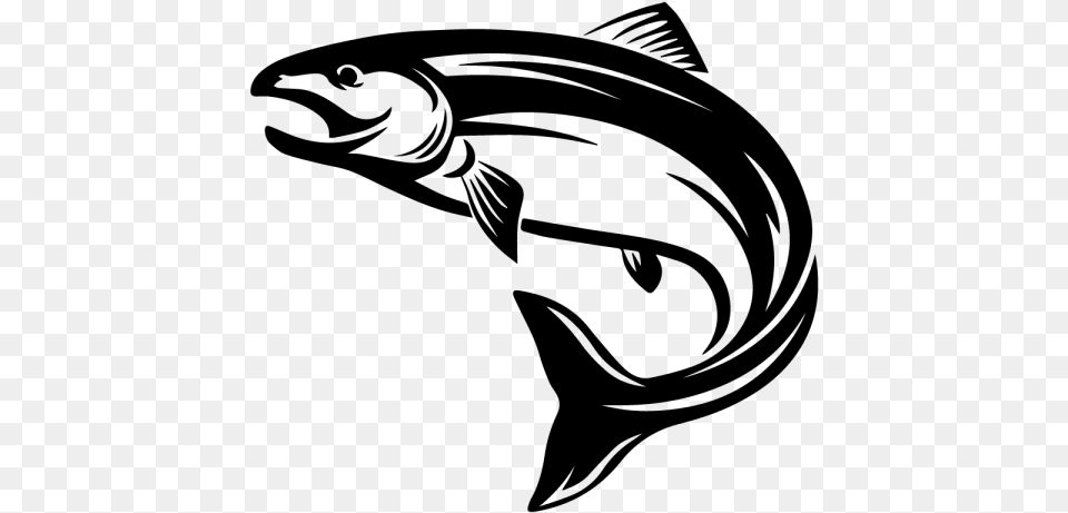 Salmon Clipart Black Ikan Salmon Vector, Gray Free Transparent Png
