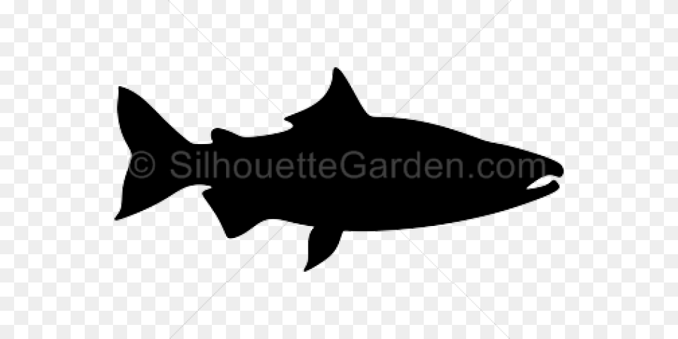 Salmon Clipart Knowledge Life Quotes, Animal, Sea Life, Fish, Shark Free Transparent Png