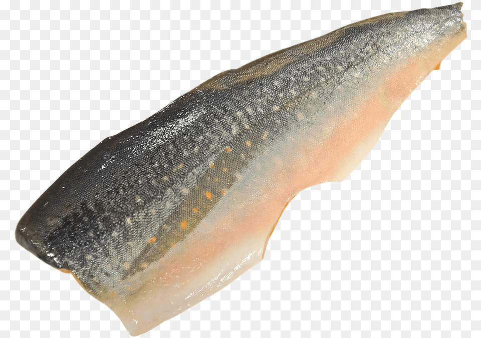 Salmon Fish Fillets With Transparent Background, Animal, Sea Life Free Png