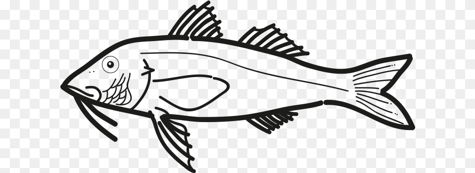 Salmonete Pseudupeneus Prayensis Frioantartic Ray Finned Fish, Animal, Sea Life, Perch Png