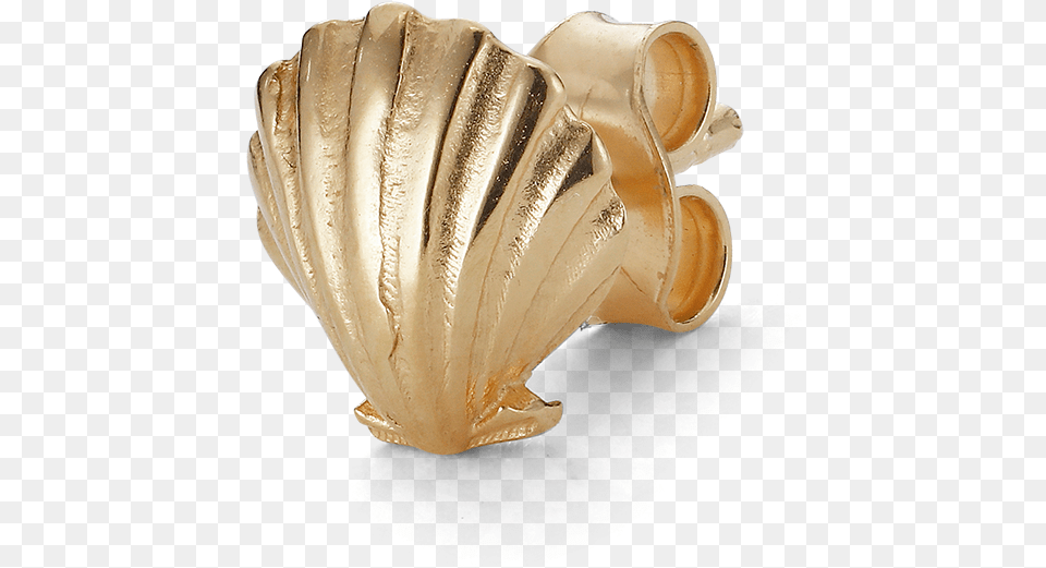 Salon Scallop Earstud Front Shoe, Animal, Clam, Food, Invertebrate Free Png Download