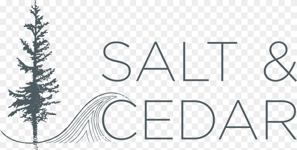 Salt And Cedar Christmas Tree, Plant, Outdoors, Text, Nature Png Image