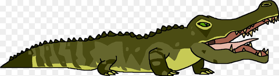 Saltwater Crocodile Cartoon, Animal, Dinosaur, Reptile Free Png Download