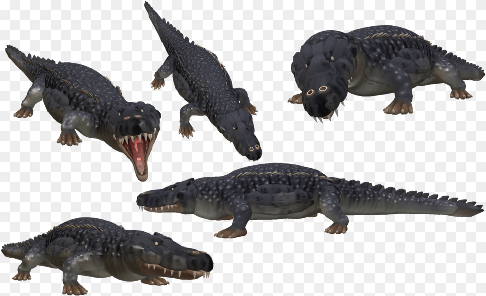 Saltwater Crocodile Photo Video Game Full Size Spore Crocodile, Animal, Dinosaur, Lizard, Reptile Free Transparent Png