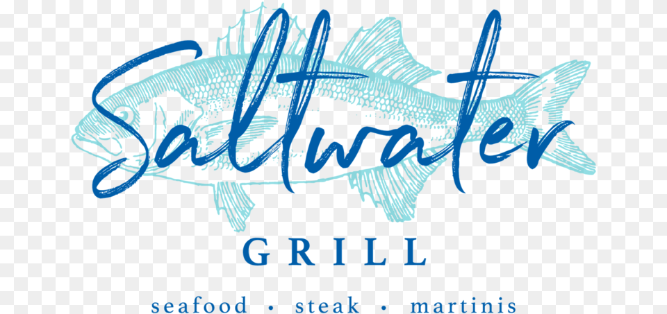 Saltwater Grill Panama City Beach Steak, Aquatic, Water, Animal, Sea Life Png