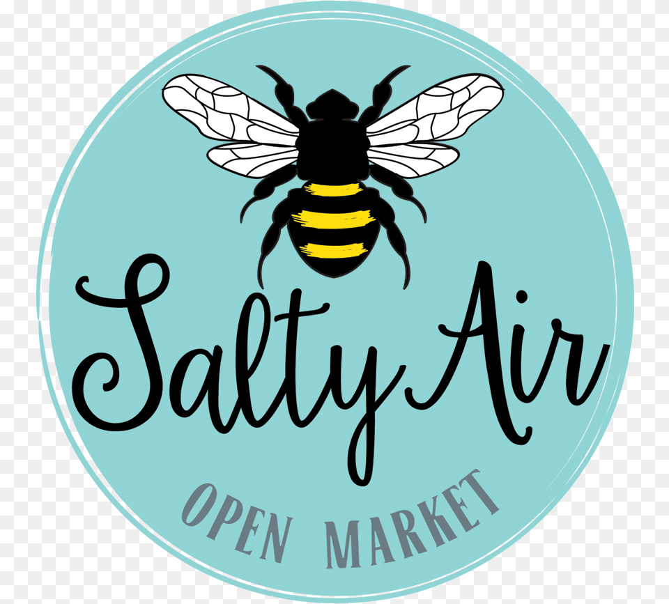 Salty, Animal, Bee, Insect, Invertebrate Free Transparent Png