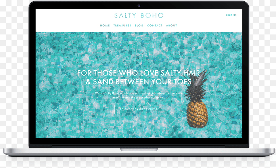 Salty Boho Netbook, Food, Fruit, Pineapple, Plant Free Png