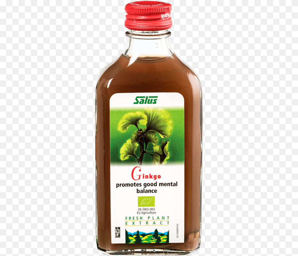 Salus Gingkgo Plant Juice, Food, Ketchup Free Transparent Png
