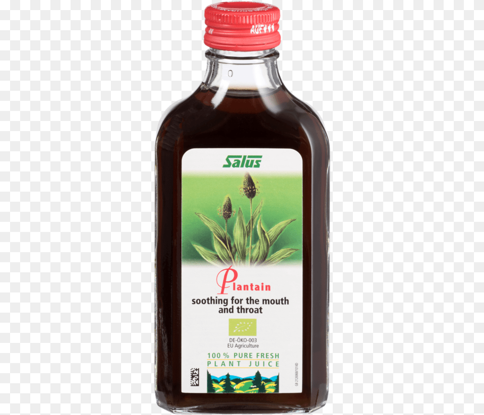 Salus Plantain Plant Juice 200ml 1 X, Food, Seasoning, Syrup Png Image