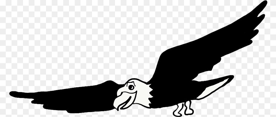 Sam The Soaring Eagle Innovates And Invents Marvelous Golden Eagle, Animal, Bird, Flying, Stencil Png