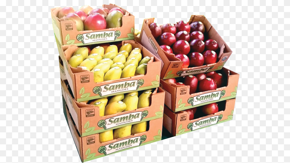 Samba Mangoes Pomelo, Food, Fruit, Plant, Produce Png Image