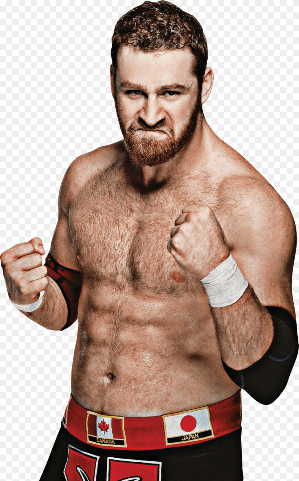 Sami Zayn, Person, Body Part, Hand, Finger Png Image