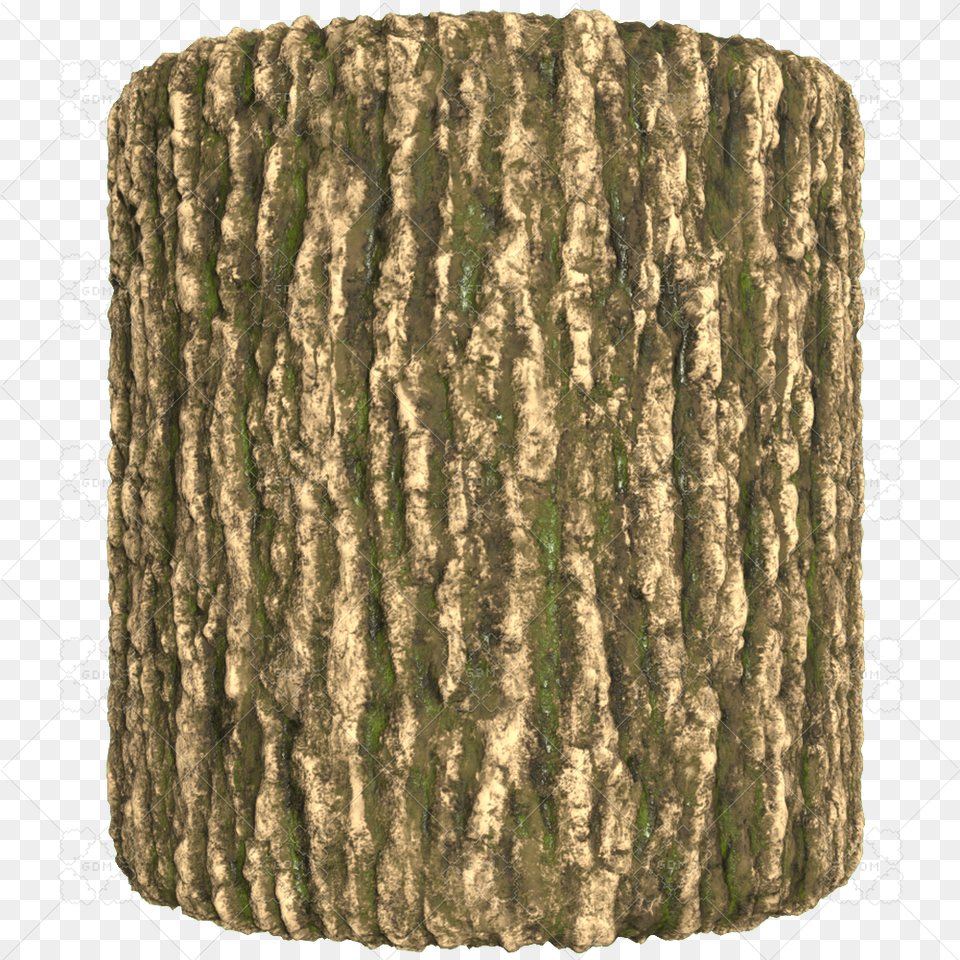 Sample File Lampshade, Plant, Tree, Tree Trunk Png Image
