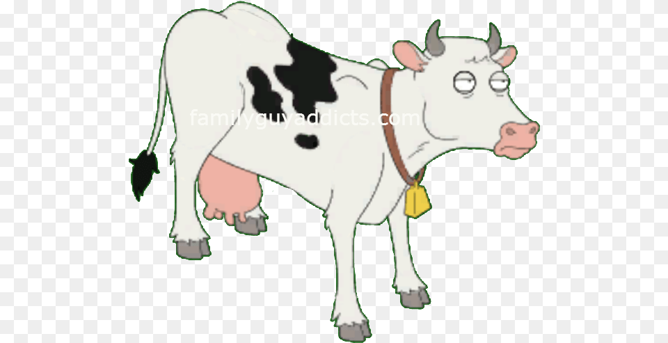 Sampm Cow Cow Family Guy, Animal, Cattle, Dairy Cow, Livestock Png Image