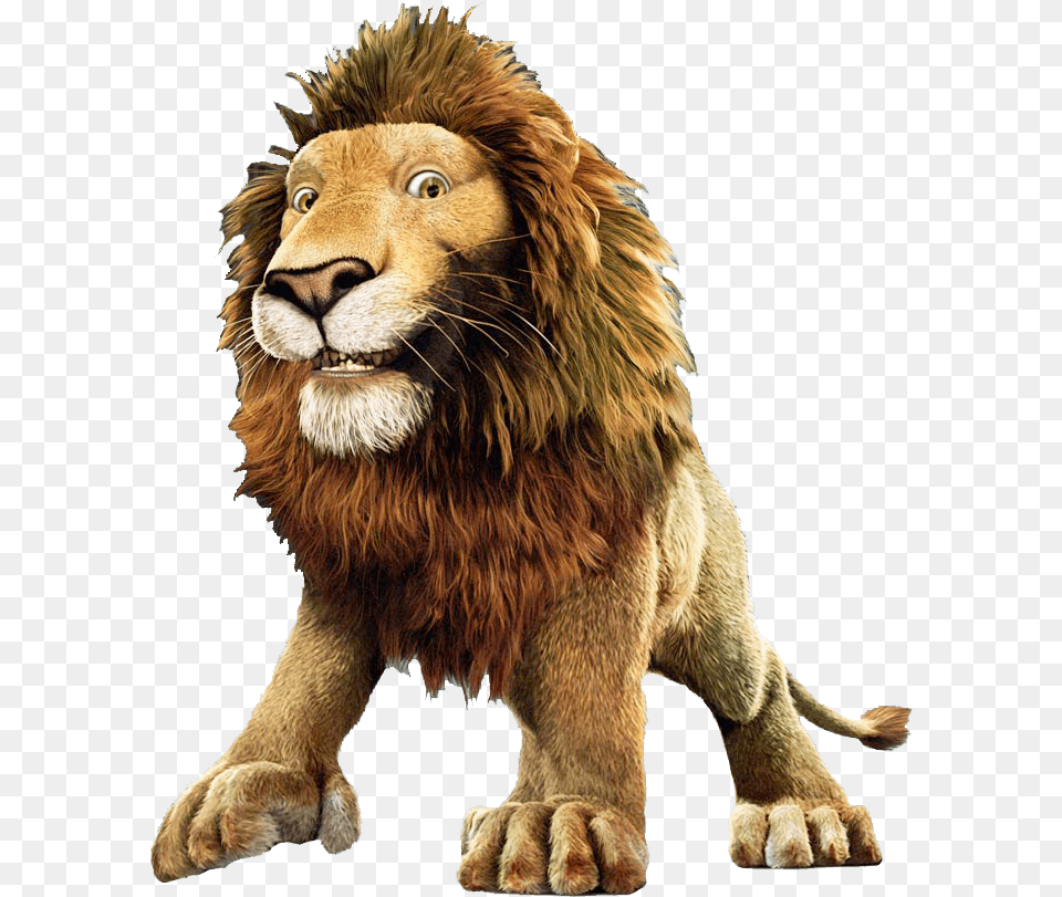 Samson The Lion The Wild, Animal, Mammal, Wildlife Free Transparent Png