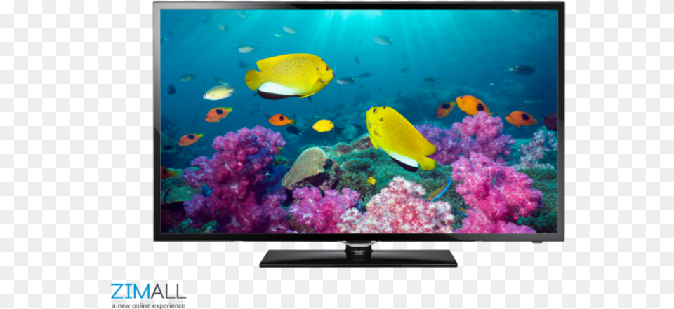 Samsung 40 Inch Series 5 Smart Full Hd Led Tv Samsung Ua40f5000ar, Water, Aquatic, Computer Hardware, Electronics Png Image