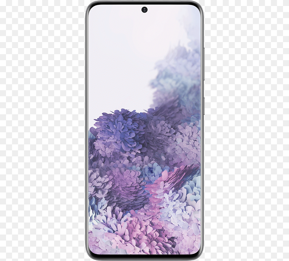 Samsung Galaxy S20 5g Samsung Galaxy S20 Sprint, Art, Flower, Painting, Plant Free Png Download