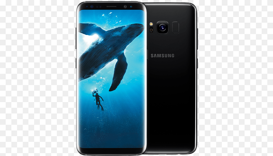 Samsung Galaxy S8 64gb Midnight Black, Electronics, Phone, Person, Mobile Phone Free Transparent Png