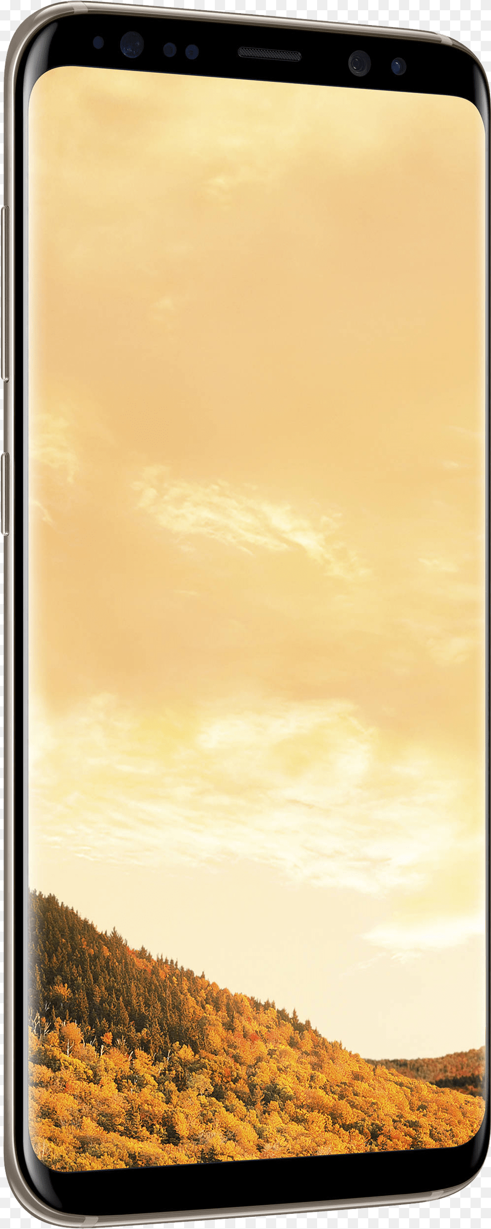 Samsung Galaxy S8 Photo Samsung Galaxy S8 Gold, Electronics, Mobile Phone, Phone, Nature Free Transparent Png