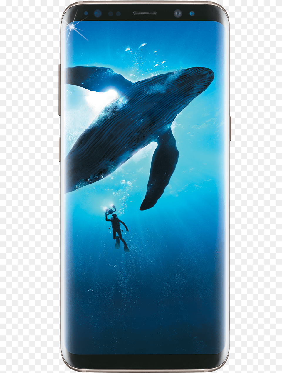 Samsung Galaxy S8 Samsung Galaxy S8 Price In India, Adventure, Water, Sport, Scuba Diving Free Png Download