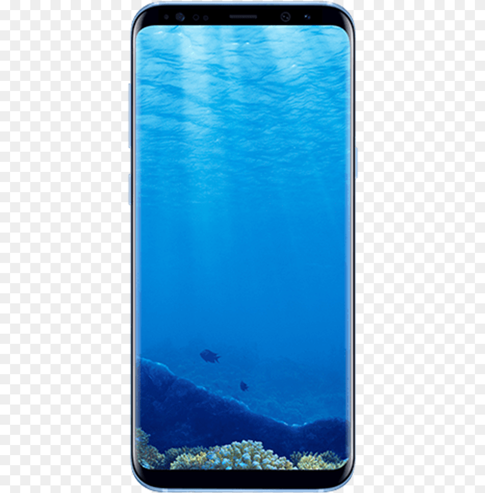 Samsung Galaxy S8 Transcom Digital Bd Samsung Galaxy, Animal, Sea Life, Sea, Reef Free Png