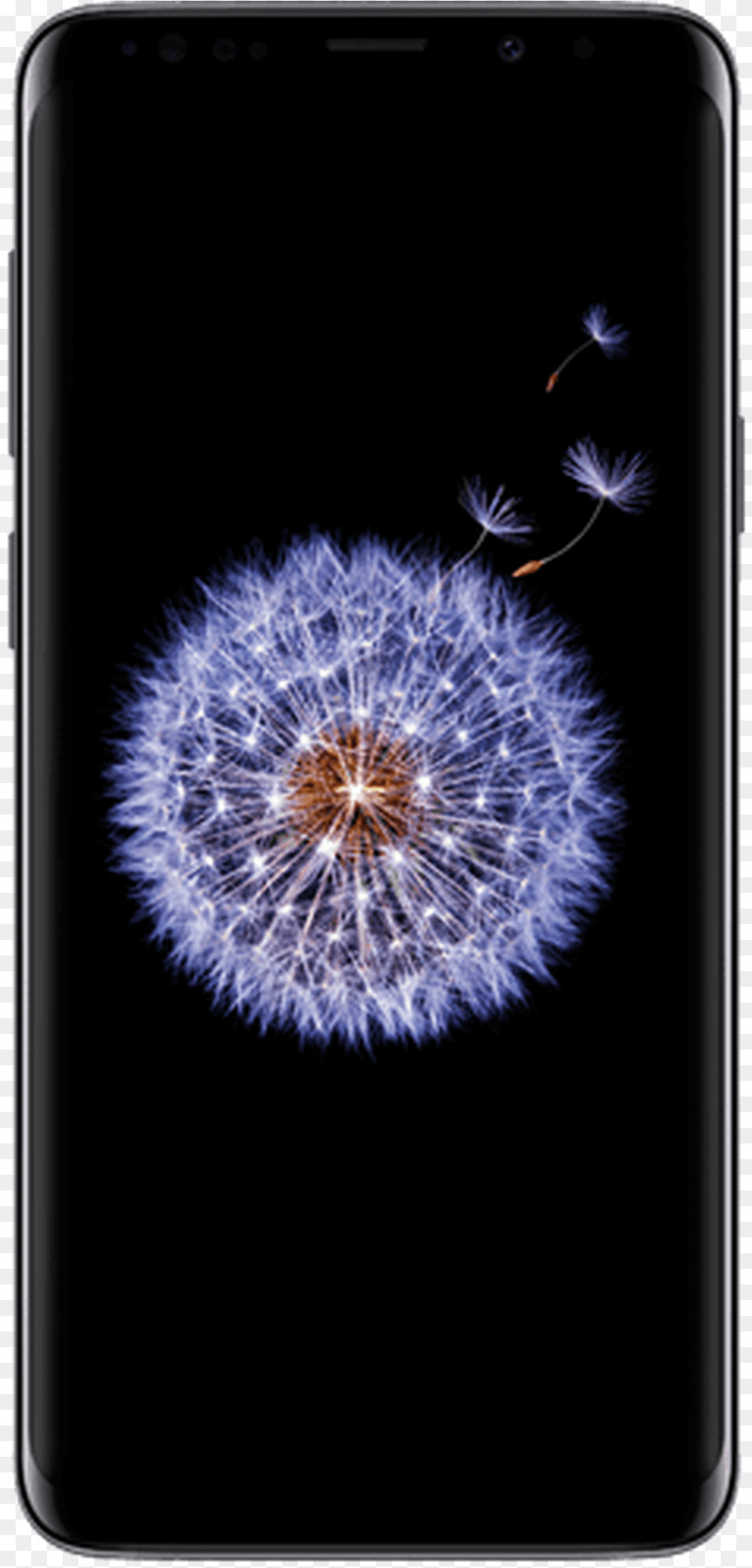 Samsung Galaxy S9 Age, Electronics, Flower, Mobile Phone, Phone Free Transparent Png