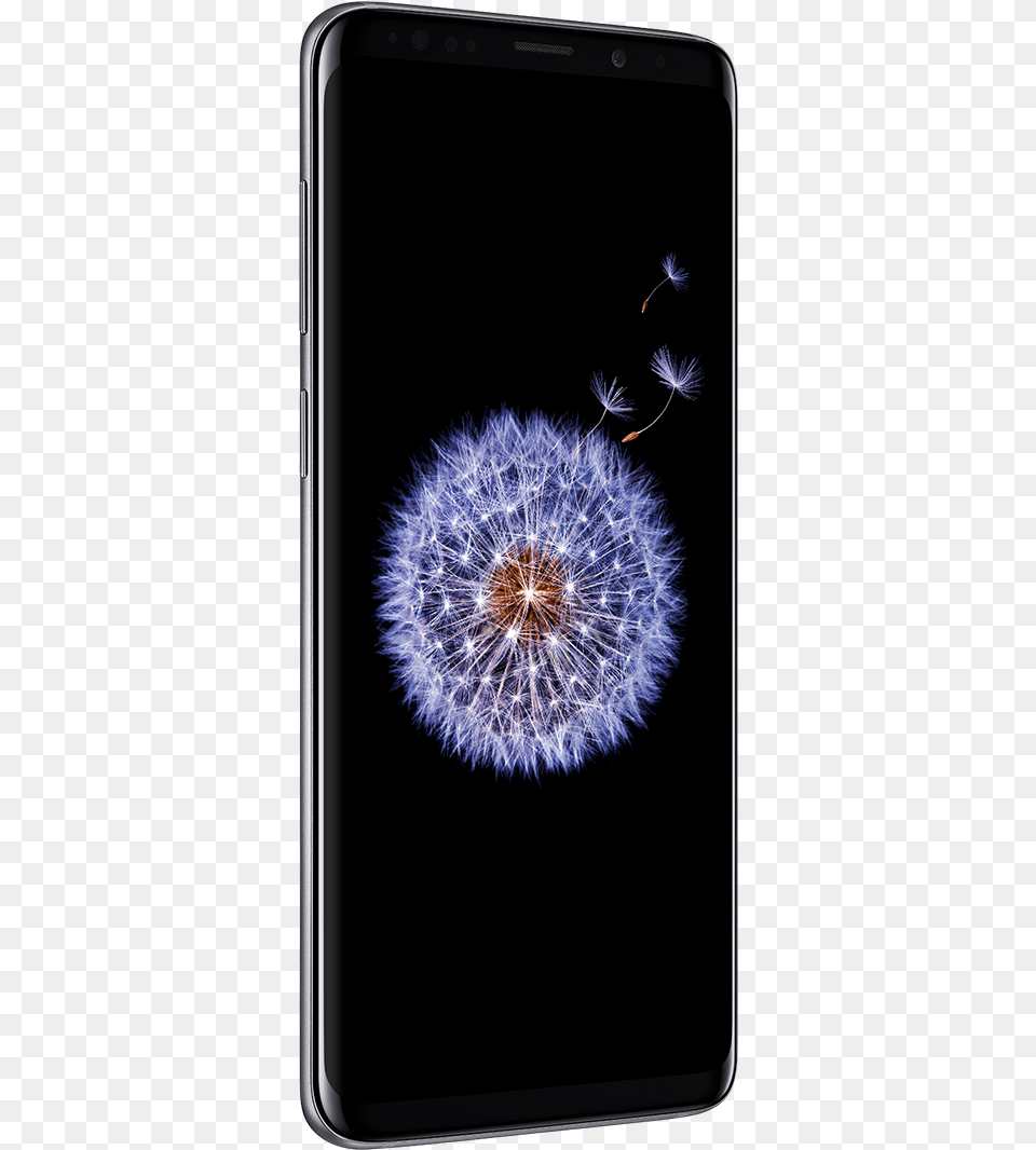 Samsung Galaxy S9 Samsung Galaxy, Electronics, Flower, Mobile Phone, Phone Png Image