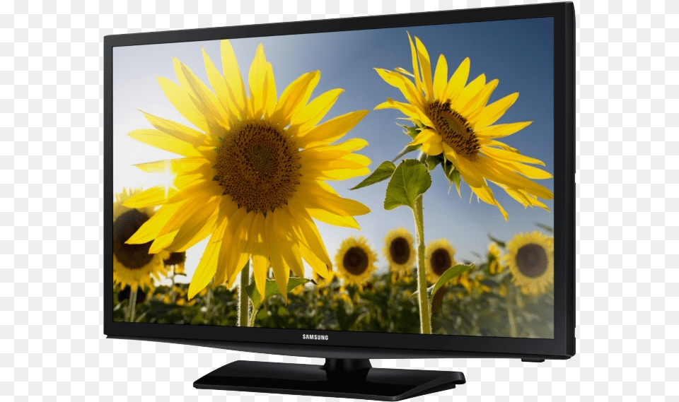 Samsung Led Tv 24 Inch Price Led Tv Images Download, Computer Hardware, Electronics, Flower, Hardware Free Png