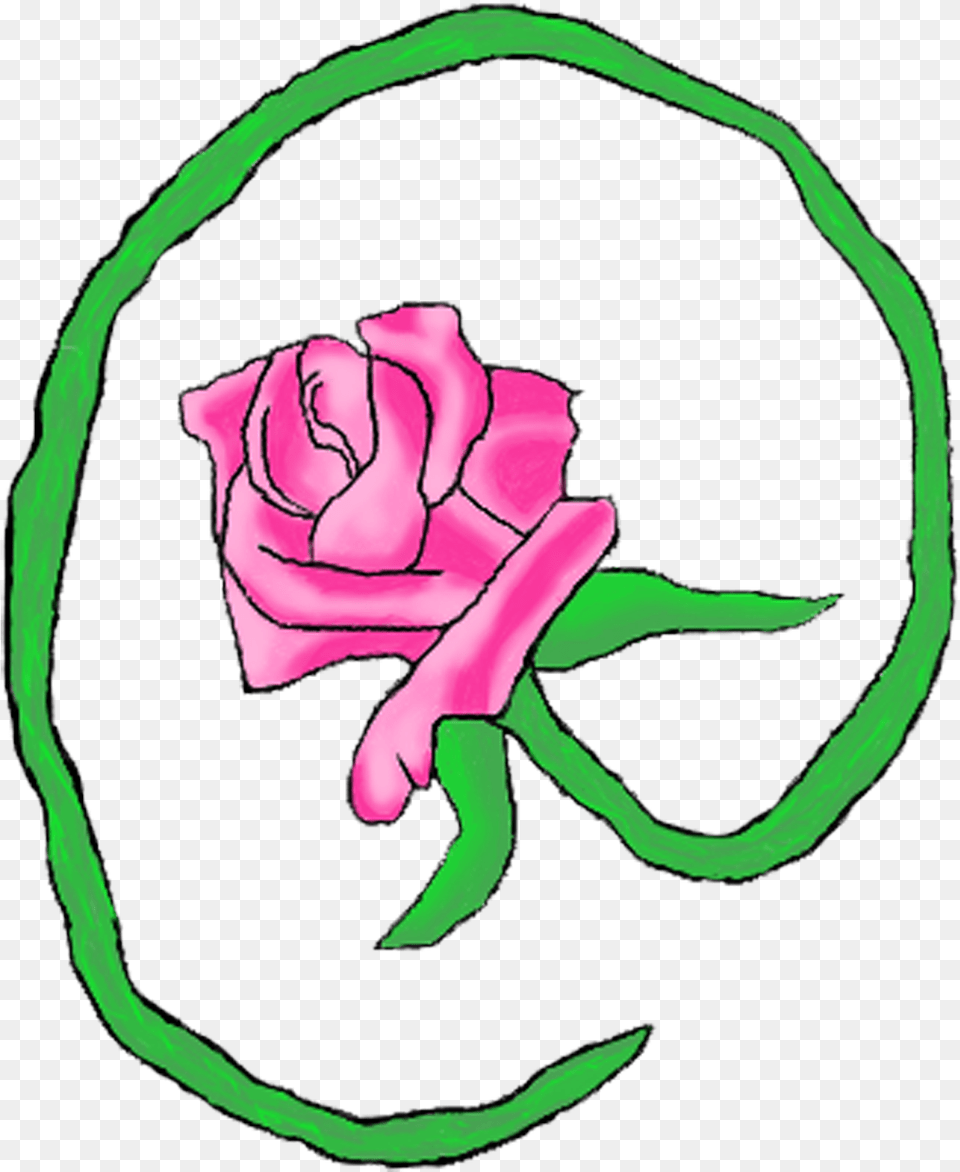 Samsung Logo Products From Jellieu0027s Wares Teespring, Flower, Plant, Rose, Baby Free Transparent Png