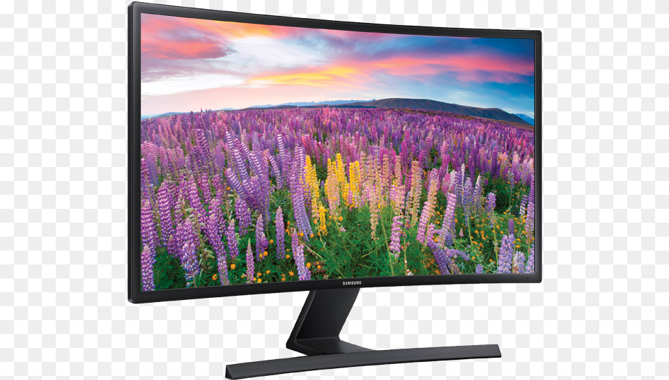 Samsung S24e510c Curved Monitor, Computer Hardware, Electronics, Flower, Hardware Free Png