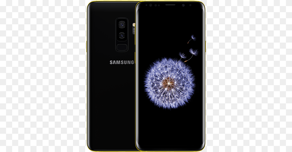 Samsung S9, Flower, Plant, Electronics, Mobile Phone Png Image
