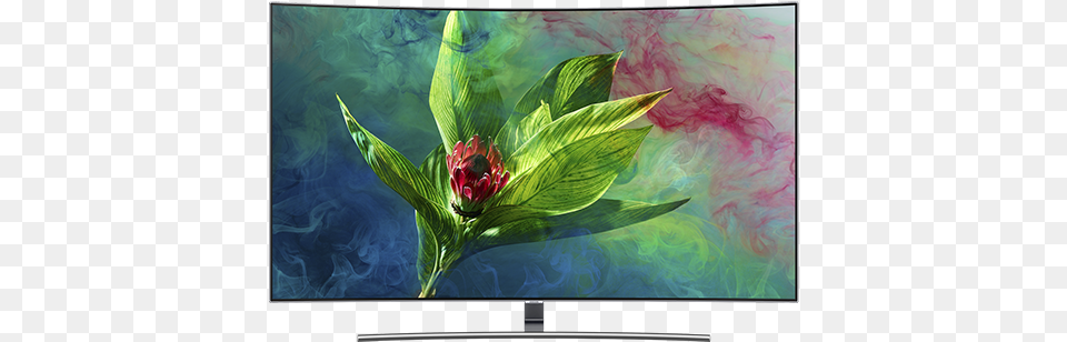 Samsung Tv Samsung Qled Tv 43 Inch, Computer Hardware, Electronics, Hardware, Monitor Free Png Download