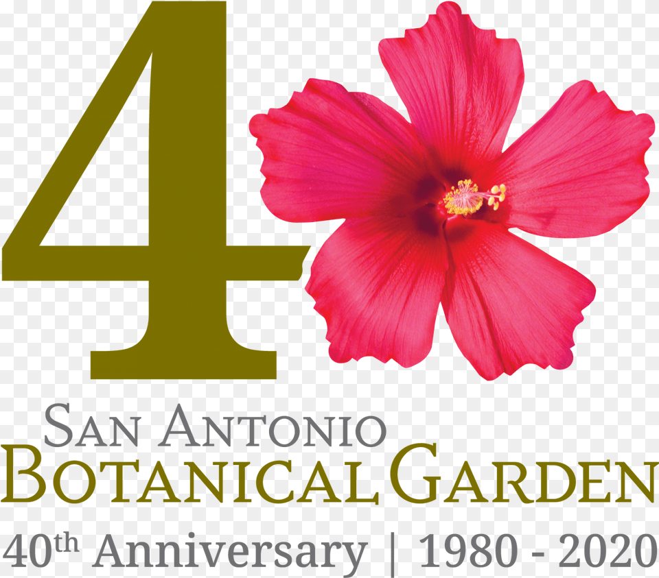San Antonio Botanical Garden Offering Admission And San Antonio Botanical Garden, Flower, Plant, Hibiscus Free Png Download