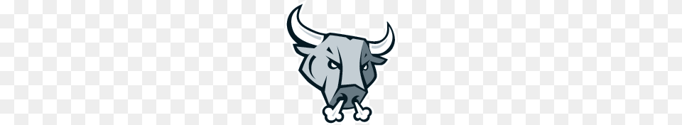 San Antonio Rampage Bulls Head, Animal, Bull, Cattle, Livestock Png Image