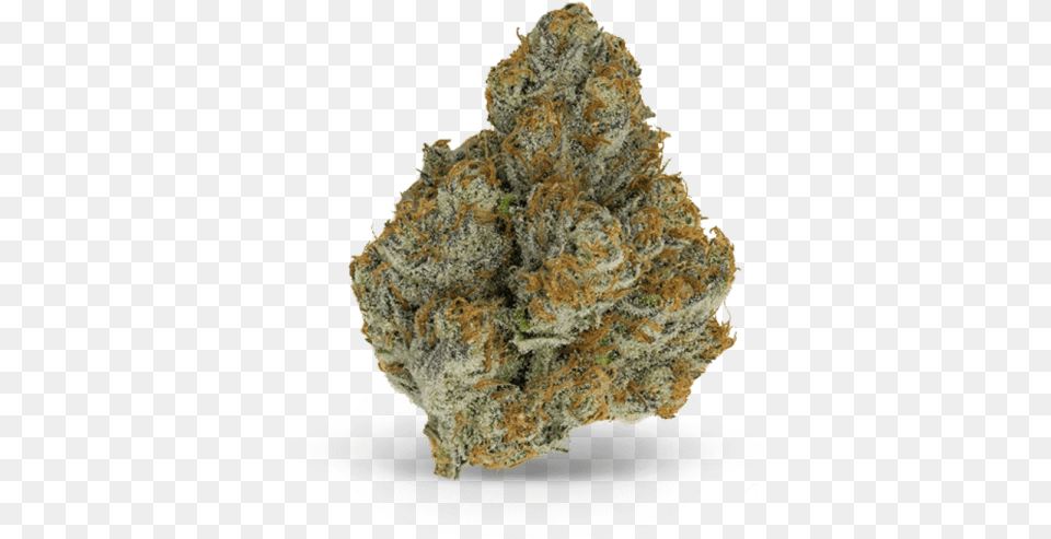 San Diego Cannabis Nug Hemp, Plant, Weed, Rock Free Transparent Png
