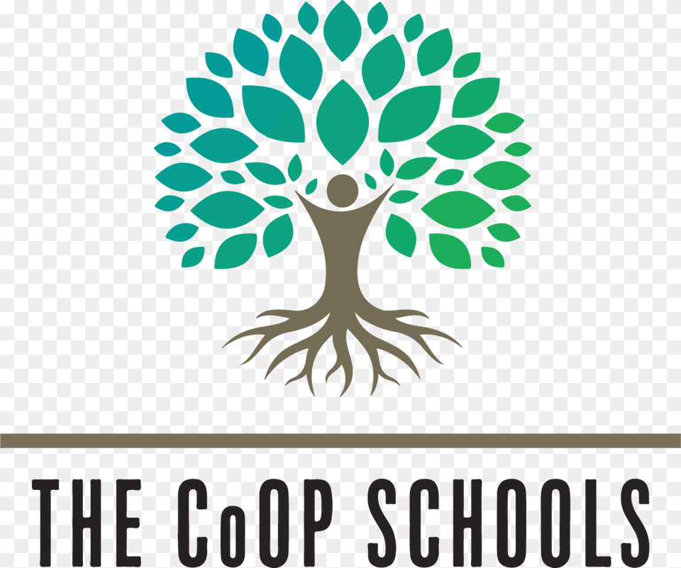 San Diego Cooperative Charter Schools Corporate Governance Logo, Leaf, Plant, Herbal, Herbs Png