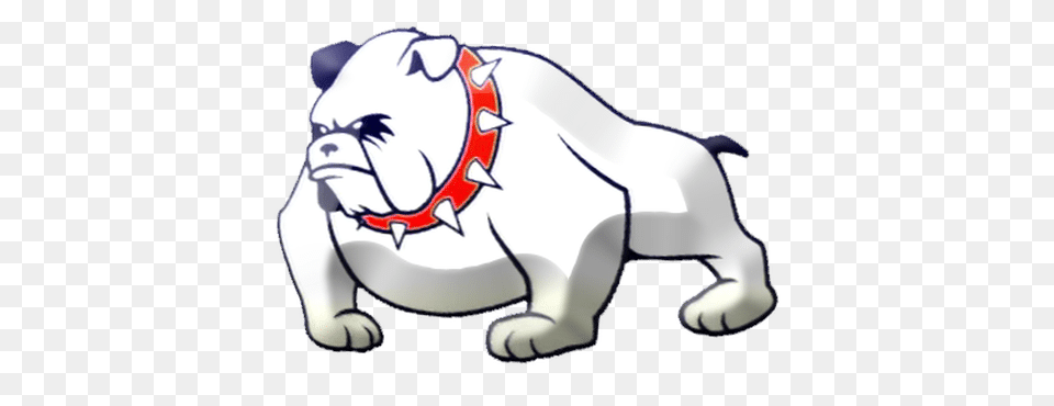 San Francisco Bulldogs Simulation Football League, Animal, Bulldog, Canine, Dog Png Image