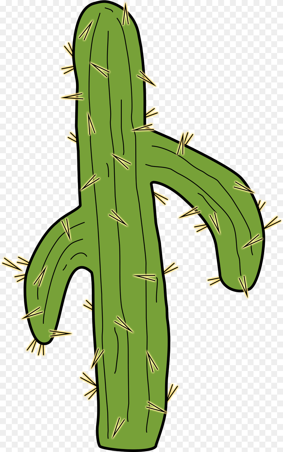 San Pedro Cactus, Plant, Person Free Png Download
