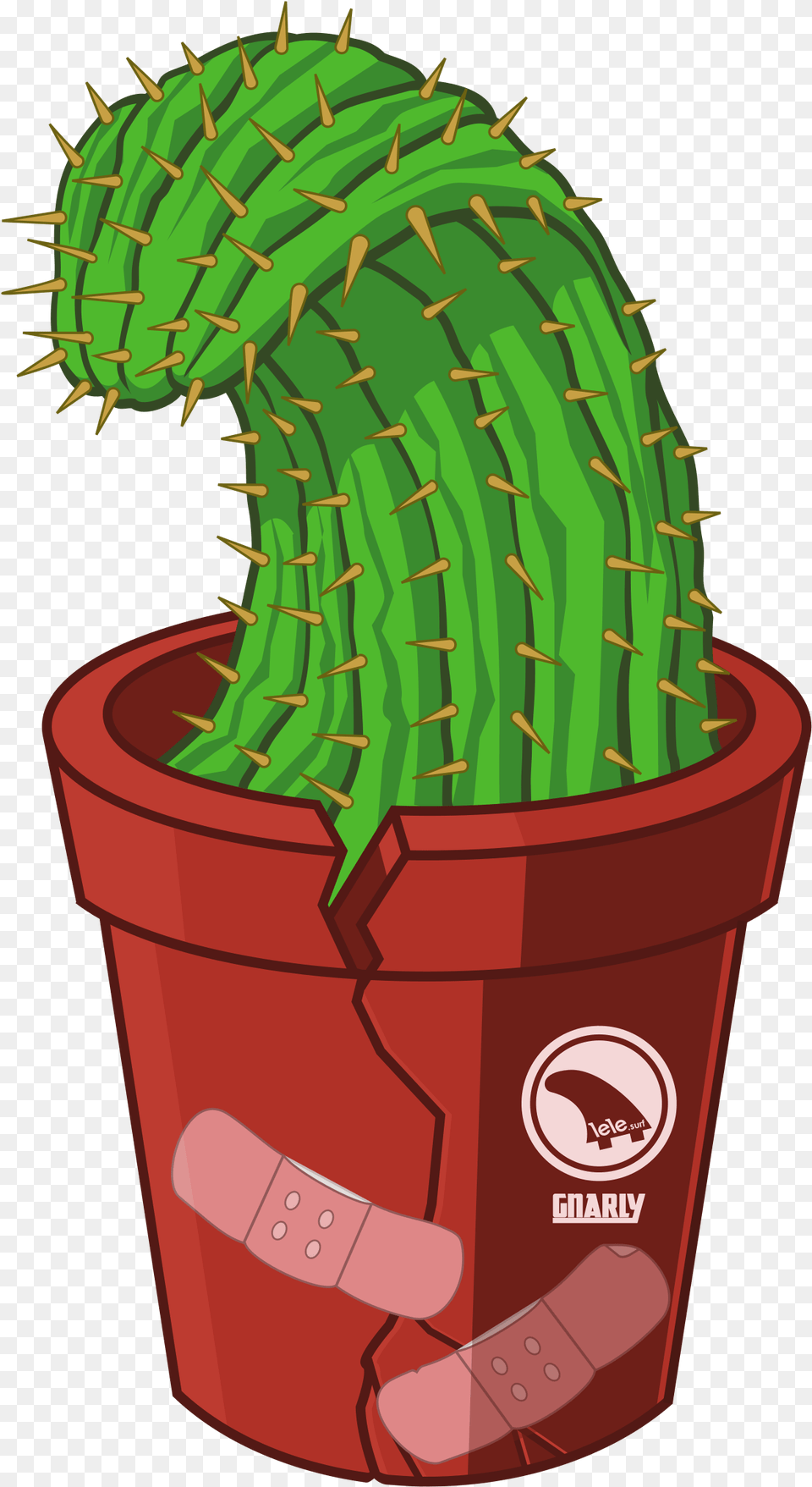San Pedro Cactus, Plant Free Png Download