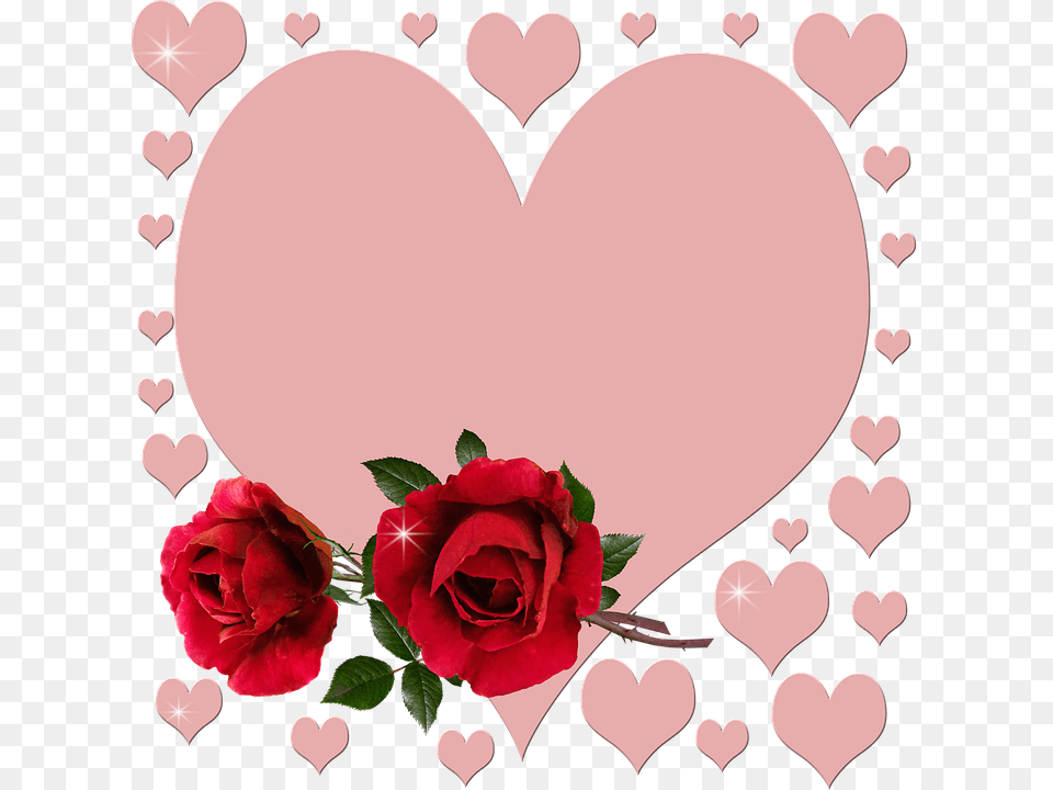 San Valentn Corazones Rosas Rojas Romntico 2019, Flower, Plant, Rose, Petal Free Png Download