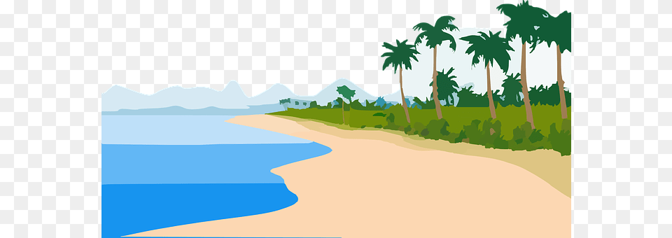 Sand Water, Sea, Tree, Plant Png Image
