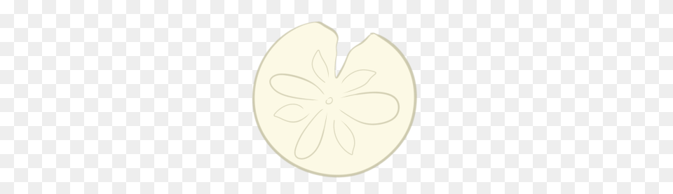 Sand Dollar, Produce, Plant, Food, Fruit Free Png Download