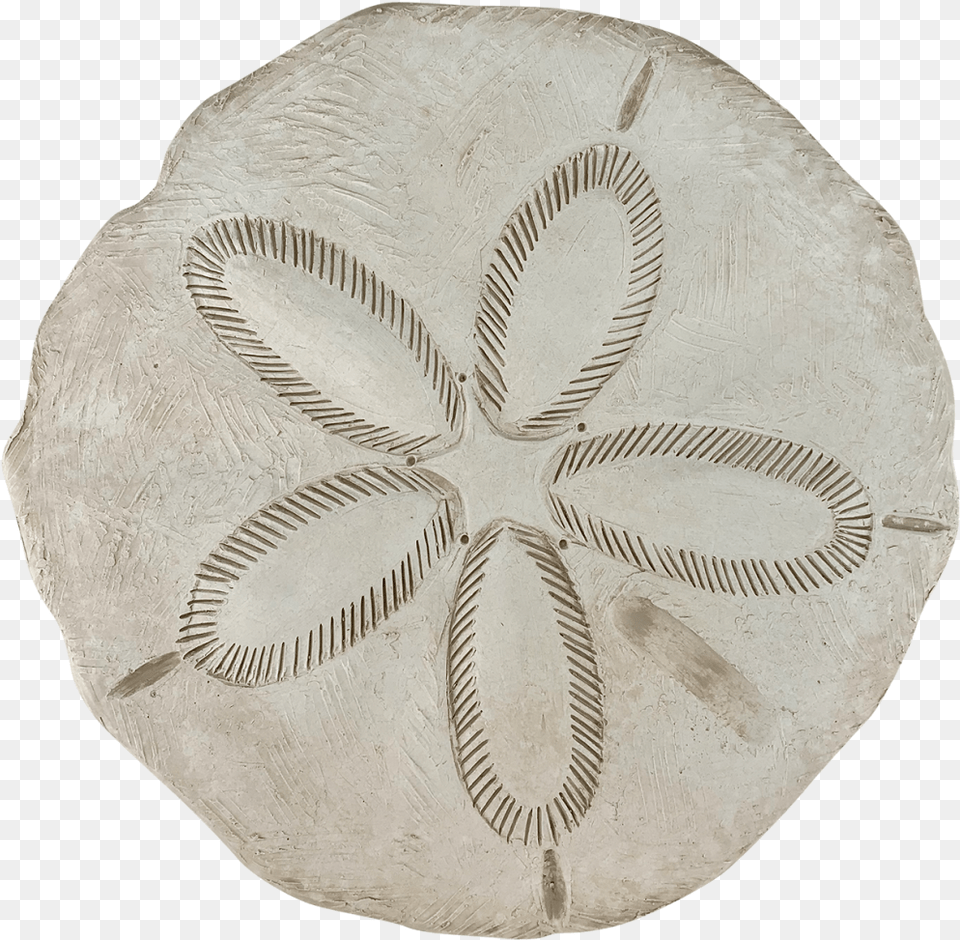 Sand Dollar, Fossil, Face, Head, Person Png Image