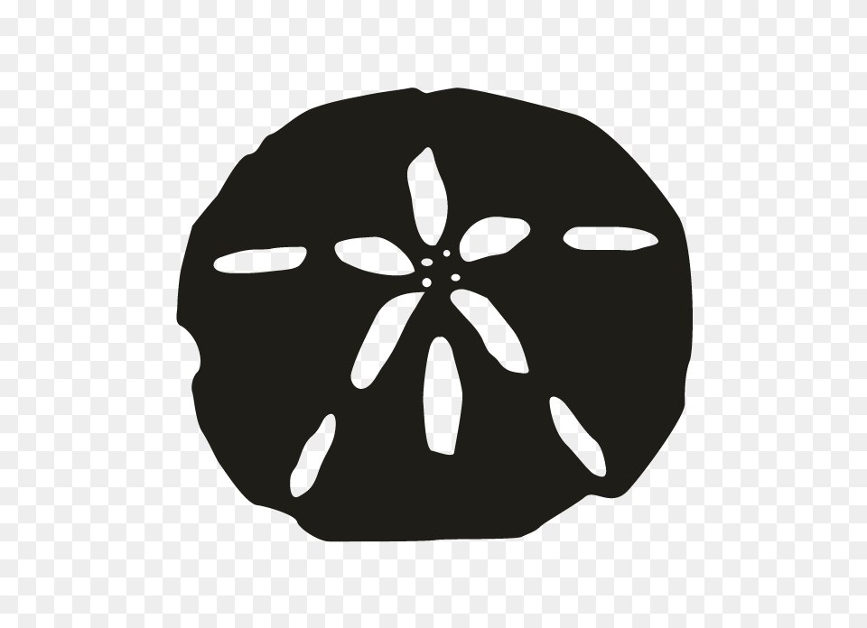 Sand Dollar Black And White Transparent Sand Dollar Black, Stencil, Baby, Person, Animal Png Image